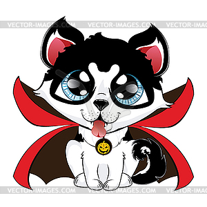 Husky in vampire coat - vector image