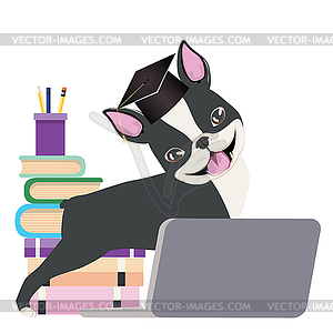 Boston Terrier graduation - vector image