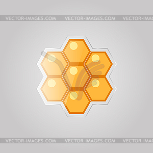 Bee honeycombs  - vector image