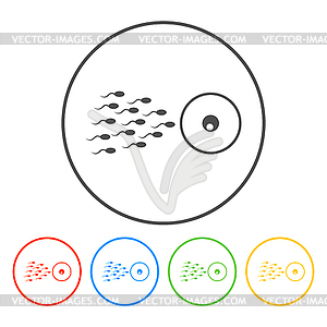 Sperm and egg cells thin line icon - vector clipart