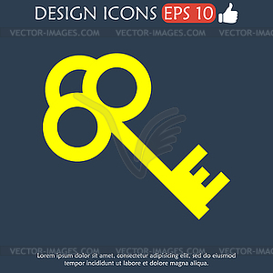 Key icon - vector image