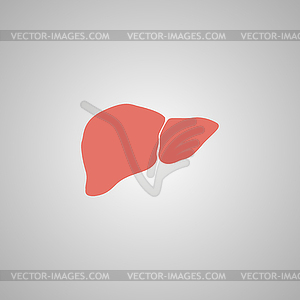 Flat liver icon - vector clip art