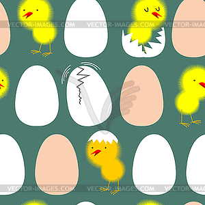 Egg and chicken. Chicks in their shells. seamless - vector clipart