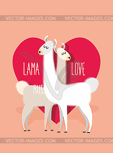 Lama love. Two Llama Alpaca on ackground of heart. - vector clip art