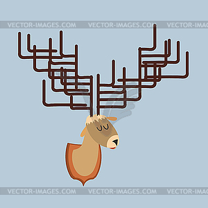 Deer head of with large antlers. Hunting trophy. - vector image