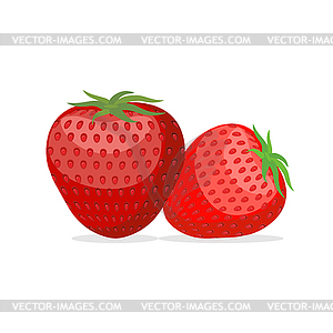Strawberry. Two fresh red, ripe strawberries - vector clipart / vector image