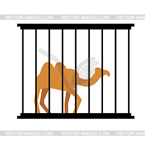 Верблюд в клетке. Животных в зоопарке за решеткой. пустынный - клипарт в векторе / векторное изображение