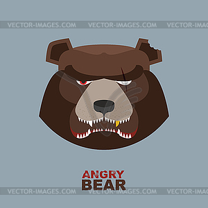 Angry bear head mascot. Bear head logo for Hockey - vector image