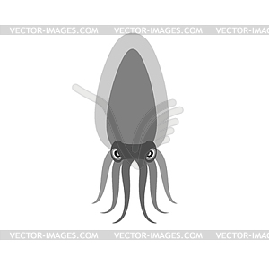 Squid. sea animal - stock vector clipart