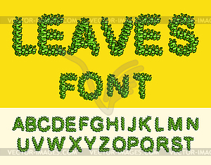 Leaves Font Green. Eco alphabet - vector image