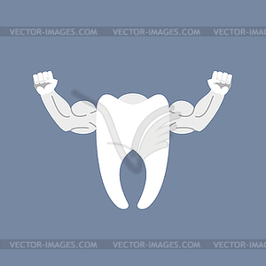 Strong healthy tooth. White clean tooth with big - vector clipart