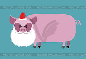 Санта-Клаус Свинья. Ферма животных с бородой и - клипарт в векторе / векторное изображение