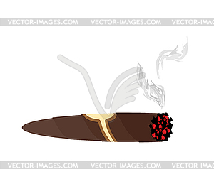 Cigar and smoke. An expensive Cuban cigar - vector clipart / vector image