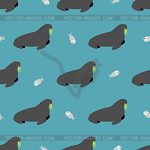 Seal and fish seamless pattern. Walrus with large - vector image