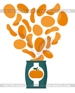 Pumpkin chips. Packaging of snacks. Bundles of chip - vector image