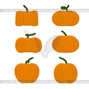 Set different pumpkins. Vegetables for Halloween - vector image