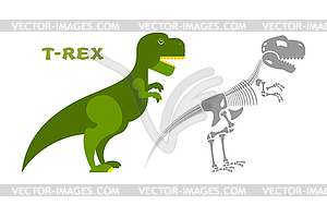 Dinosaur Tyrannosaurus skeleton. Bones and skull - vector EPS clipart