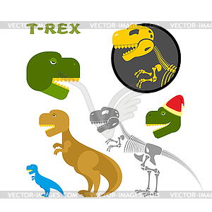 Tyrannosaurus collection of items. Bones and - vector image