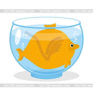 Fat fish in aquarium. Fat marine animal. Big - vector image