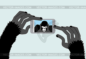 Селфи обезьяны. Черный Gorilla фотографии. животному - клипарт в векторе