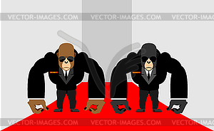 Security Guards of gorilla. Big Bodyguards - vector image