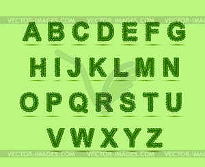 Green Leaves font, st. patrick day, clover font, - vector clipart