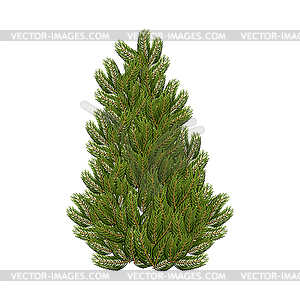 Christmas tree. Realistic figure. Festive tr - vector clipart / vector image