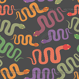 Snake seamless pattern. background of desert - vector image