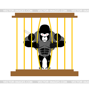 Gorilla in cage in Zoo. Strong Scary wild animal - vector clipart
