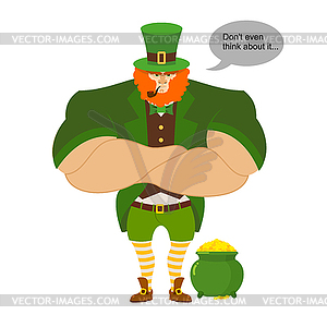 Leprkeon and gold. Serious Powerful leprechaun - vector image