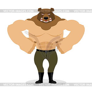 Man Bear. Strong powerful wild evil animal with - vector image