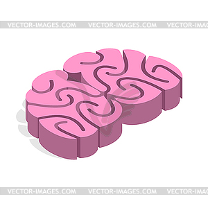 Brain isometrics. body human central nervous system - vector clipart