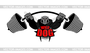 Strong dog and barbell. Aggressive sportsman big - vector image