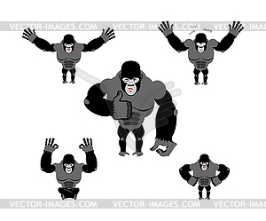 Gorilla set poses. Expression of Emotions monkey. - royalty-free vector image