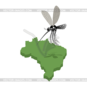 Mosquito and map of Brazil. Zika virus in Brazil. - vector image