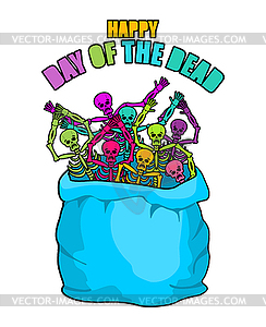 Day of Dead. Skeletons in sack. Multicolored skull - vector clipart / vector image