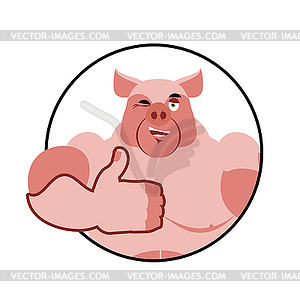 Boar thumbs up well and winks. Pig Signs all - vector image