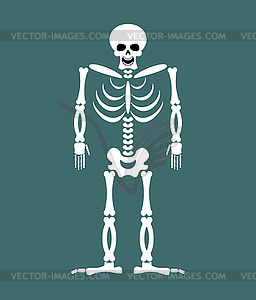 Skeleton. Skull and Bones. Dead - vector clipart