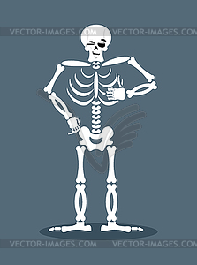 Skeleton showing thumbs up. Signs all right. Happy - vector clipart