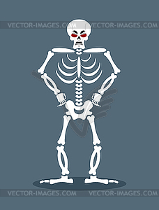 Angry skeleton. Aggressive dead. Evil skull and - vector clipart