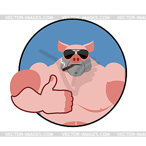 Boar thumbs up well and winks. Pig Signs all - vector image