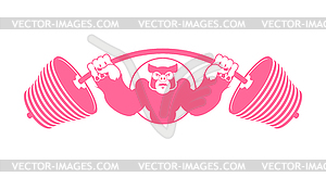 Angry pig athlete. Barbell and Aggressive big - vector image