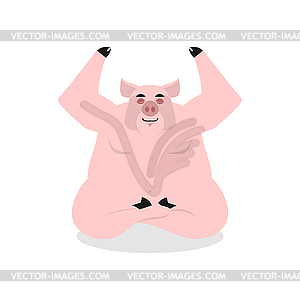 Pig yoga. Animal meditating. Farm animal. Co - vector clip art