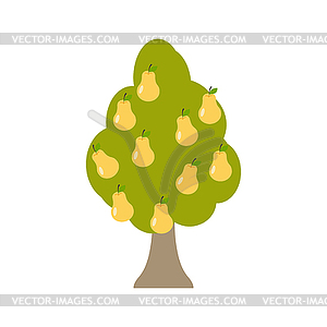 Pear tree . Garden wood with pears - vector clip art