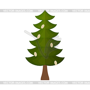 Fir with cones . fir-tree. Christmas - vector clip art