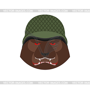 Angry bear in military helmet. Aggressive Grizzly - vector image