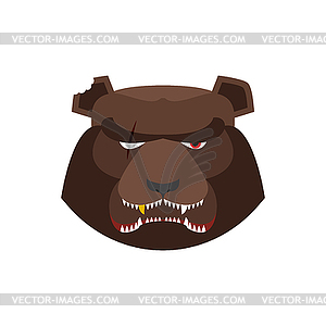 Angry bear in green beret. Aggressive Grizzly - vector clipart / vector image