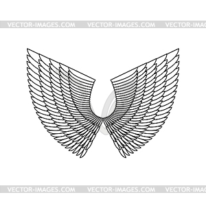 Angel Wings . White Feather wing of bird - vector clip art