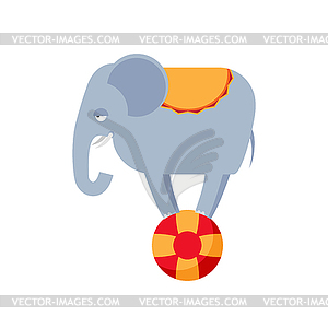 Elephant on ball . Circus animals - vector image