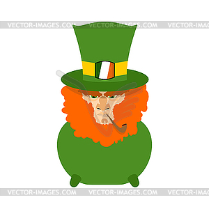 Leprechaun with red beard in pot. St. Patricks Day - vector clip art